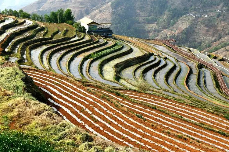 f6b2ca813d518bf6bd78a7ddc4229670-sz_131814-1