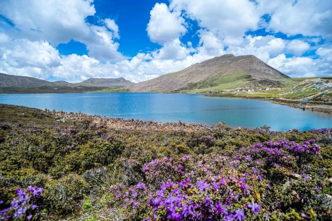 f6e57752628f92ff5d6217009d57086f-sz_2733416-1