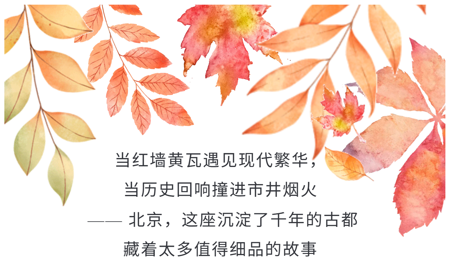 f6e64aebeebca13a59c8fdfb532b767b