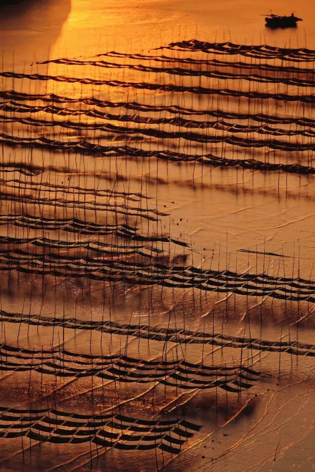 f6e6dc357f1deb9f1fc13bd0cbeb3098-sz_2537772 f6e6dc357f1deb9f1fc13bd0cbeb3098-sz_2537772