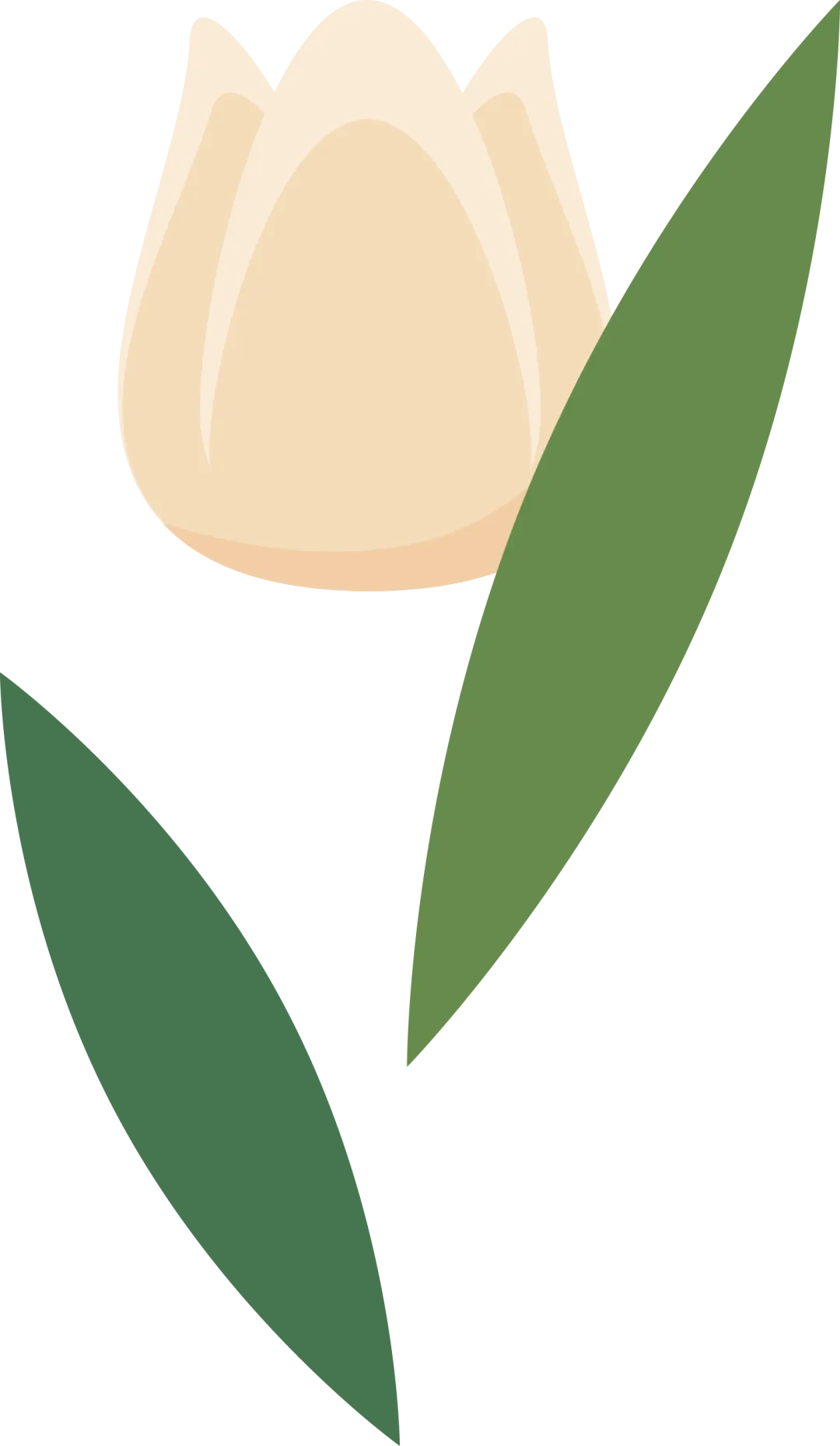 f72e07342876ba5314b345cc64362960_sz-83384