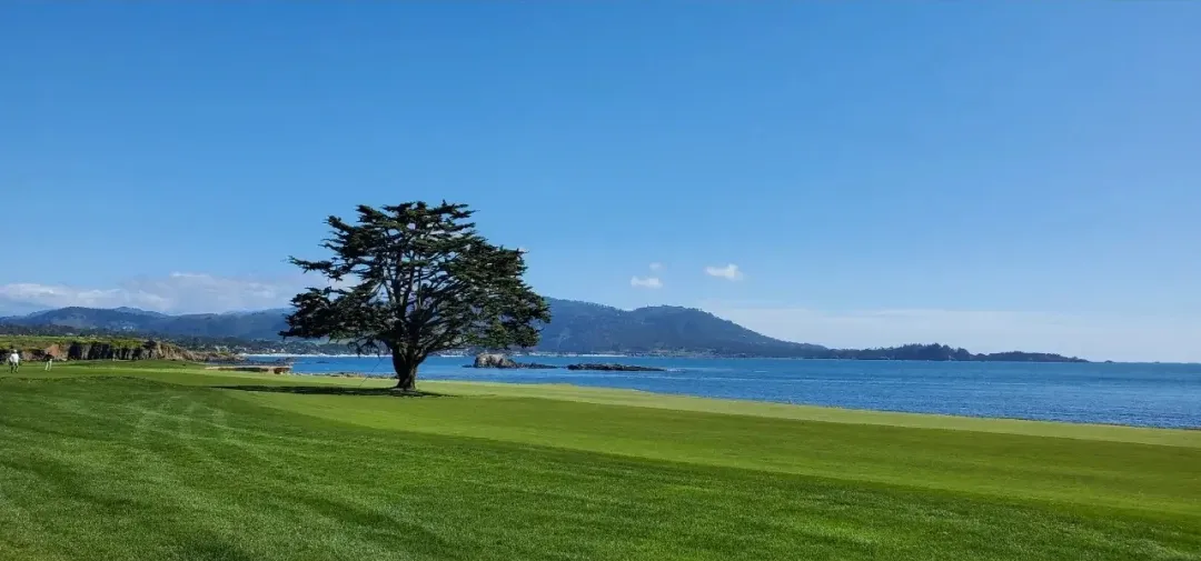 f72f53f5ae0ade1cfdfd23314e313fe3-sz_179963 f72f53f5ae0ade1cfdfd23314e313fe3-sz_179963