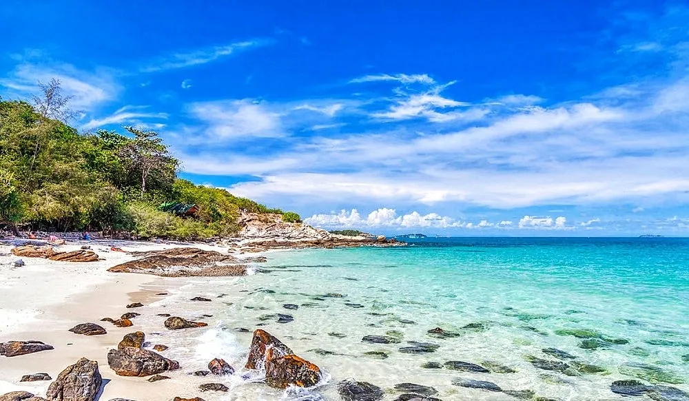 f73a8bf3c17a3d0ecfbe7d00354f9ea5-sz_199588