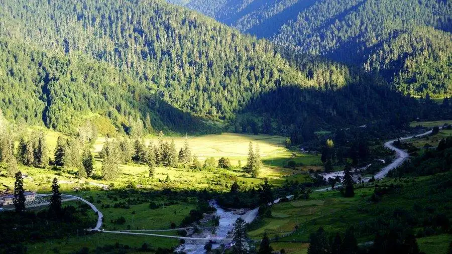 f773b5a63e53cd76db681bb14ac957e2-sz_117582