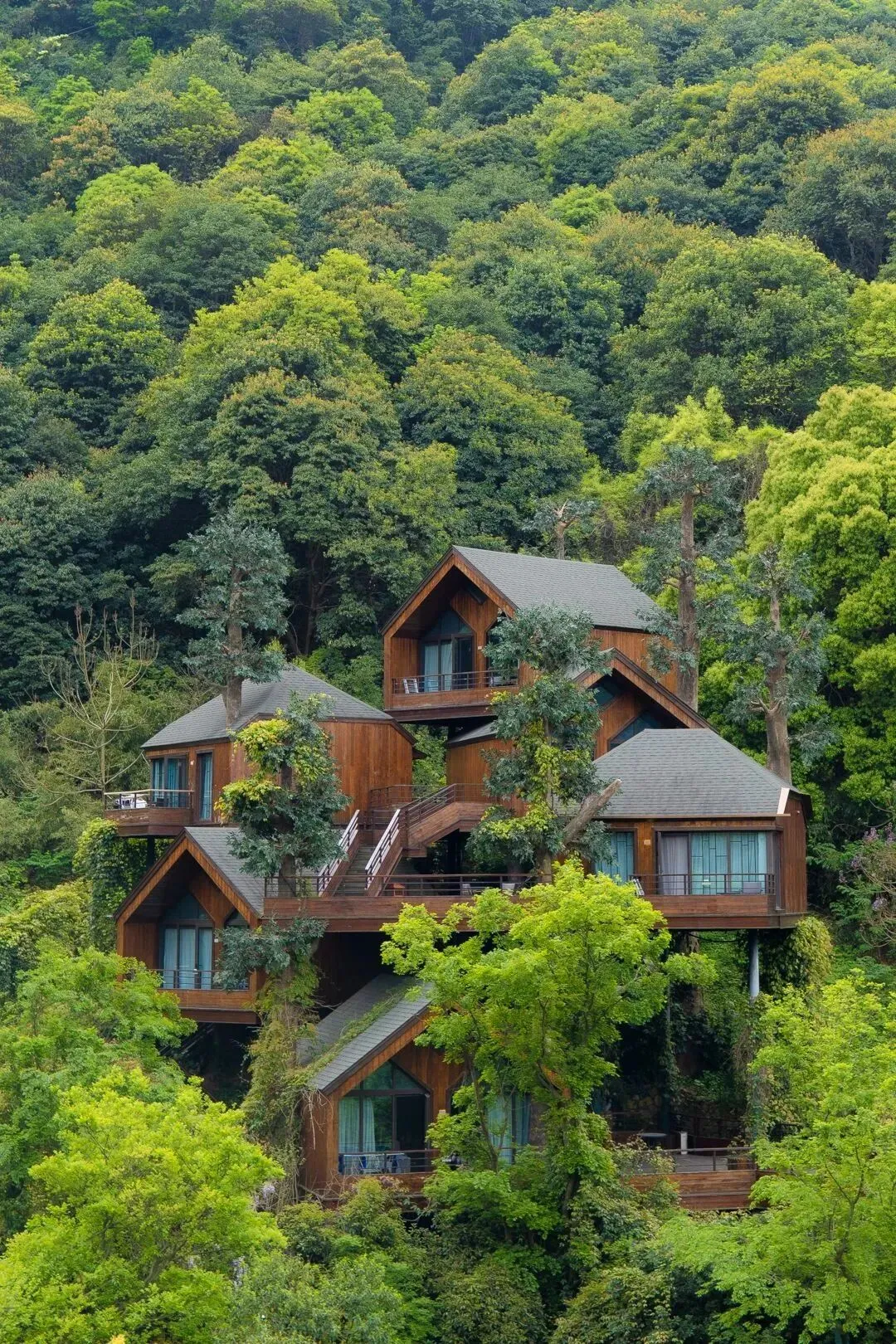 f7eb33b2b6346e6609c9e9841a948961-sz_581976