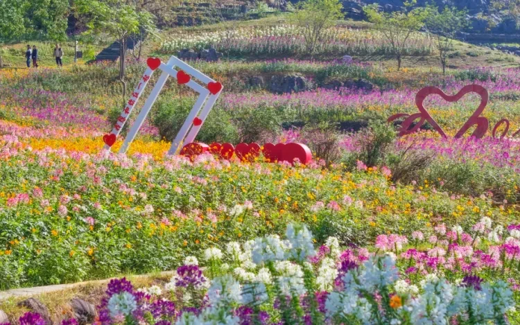 f8040a208d94cc0de9fd00f572c2bc12-sz_1469365 f8040a208d94cc0de9fd00f572c2bc12-sz_1469365