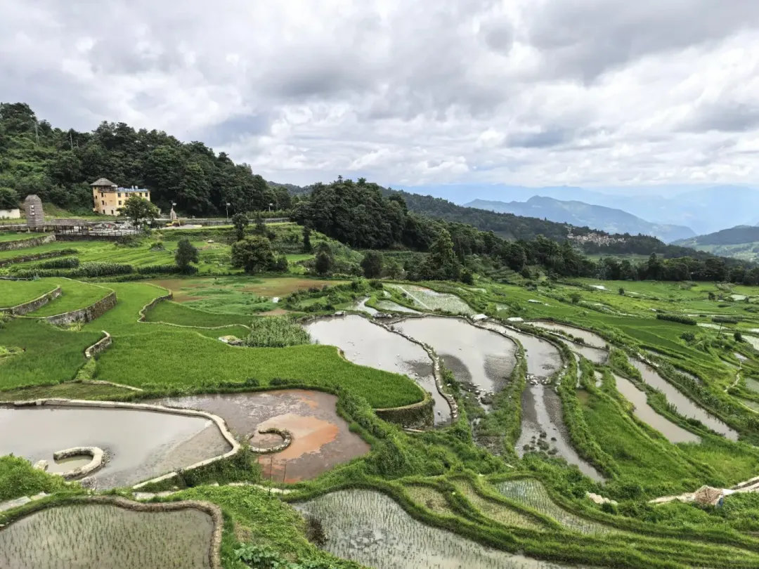 f845a81e096ba539c29a3cbe585b4278-sz_2998472