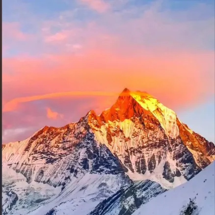 f854527789f0b35792fac43dd3e3b98b-sz_314786