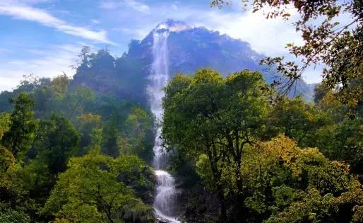 f877bdd27eeee0095f8a8e6711cb602e-sz_417269