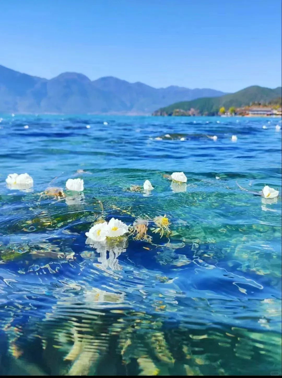 f89ee567d7bb65888d91d318fa7f9f5d-sz_1548459 f89ee567d7bb65888d91d318fa7f9f5d-sz_1548459