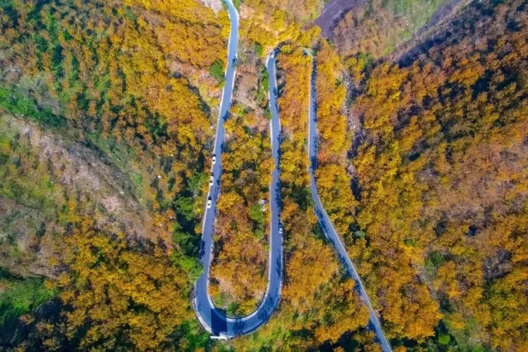 f8b684794a7b5d9495ebf642e7e79001-sz_252652