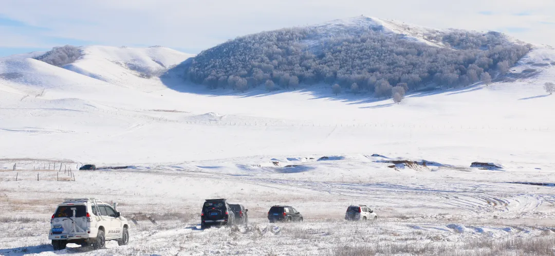 f90304c3439dac515e24e92d3b6922bb-sz_12205559 f90304c3439dac515e24e92d3b6922bb-sz_12205559