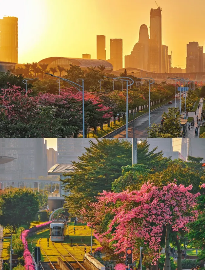 f92c8711c3ecbada0f13e46680aaa0e6-sz_1560258