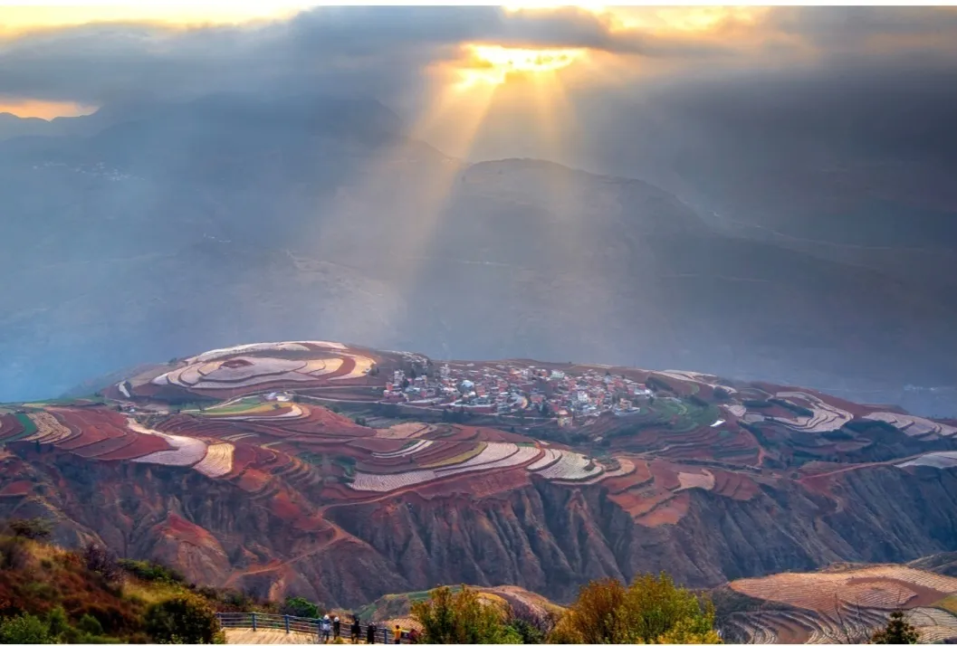 f93a112a04fc70c794043f6aca042c9b-sz_247710