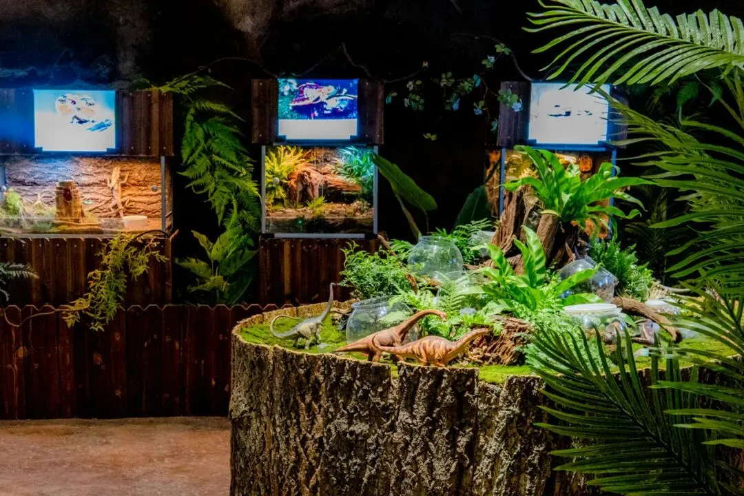 f941f1b0eb9261de45d0cd5df8a381a4-sz_184200