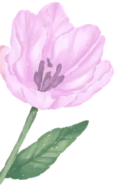 f94f1883535e872e7744b68ed7027f06-sz_54866