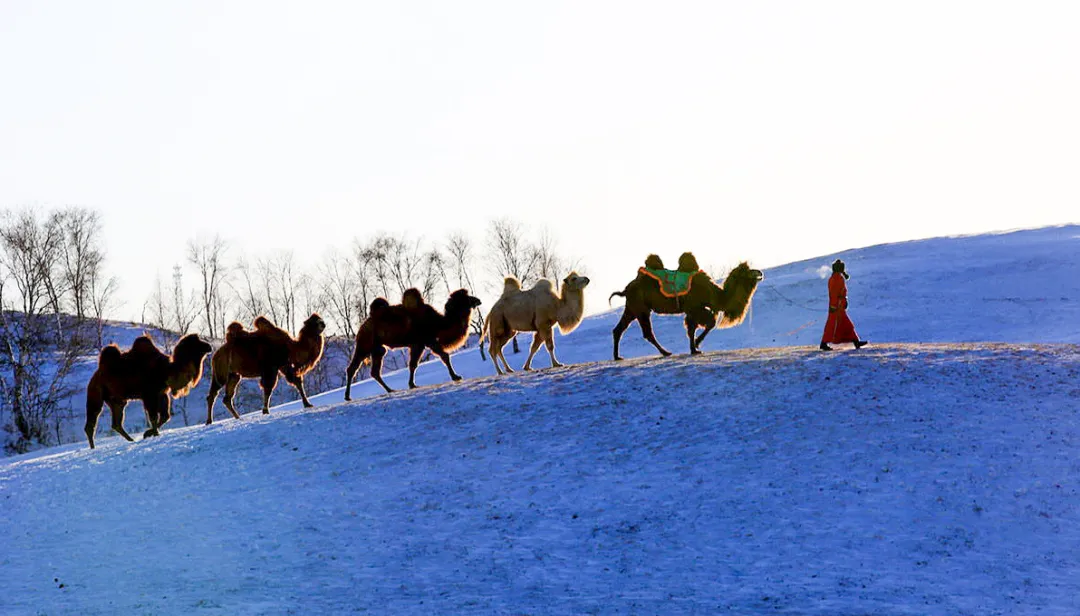 f95ef1a4422d8c3d3a3d897d3c260b5c-sz_989520