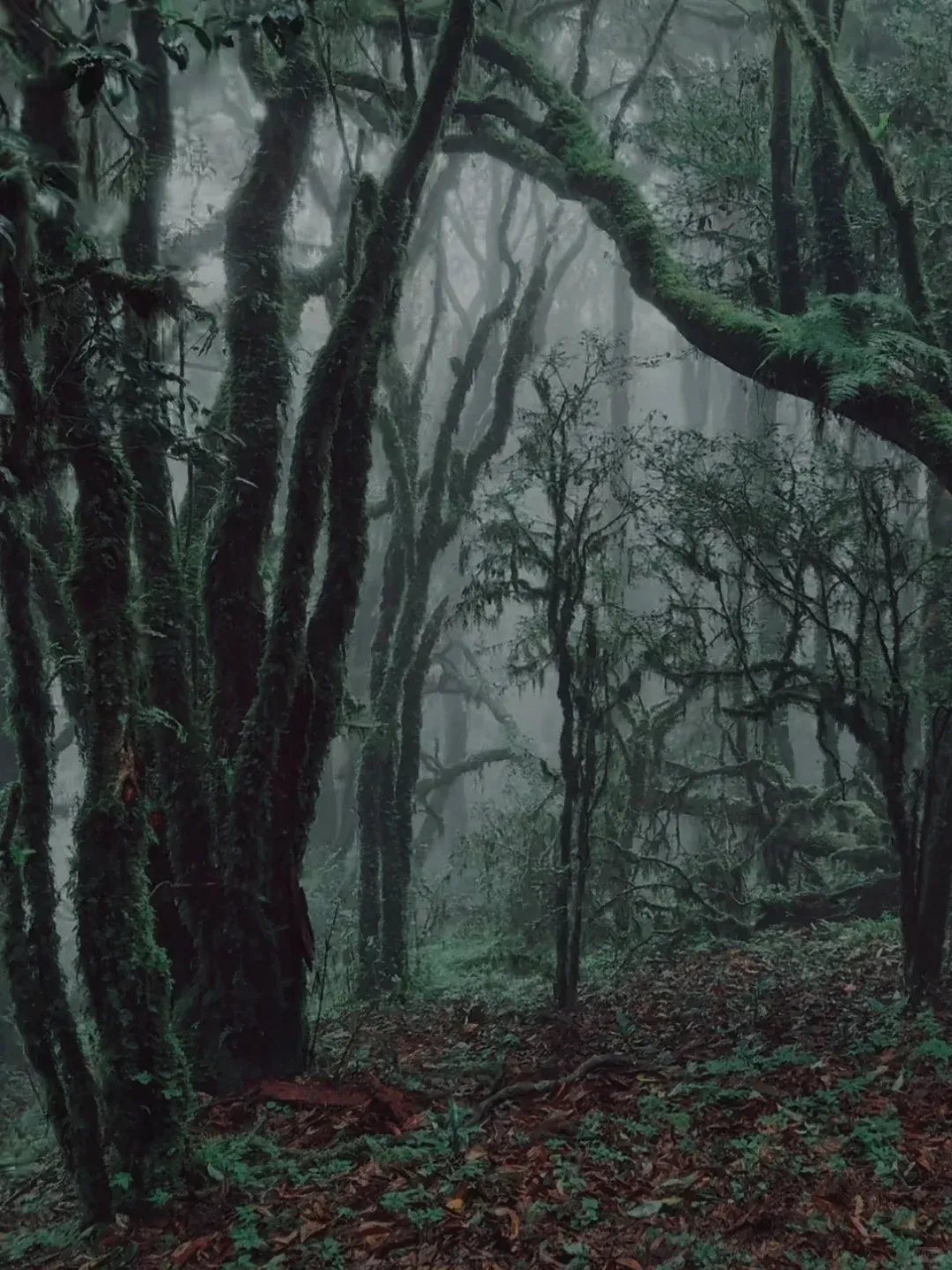 f977cae00755eb392a15a4b61156b482-sz_1924705 f977cae00755eb392a15a4b61156b482-sz_1924705