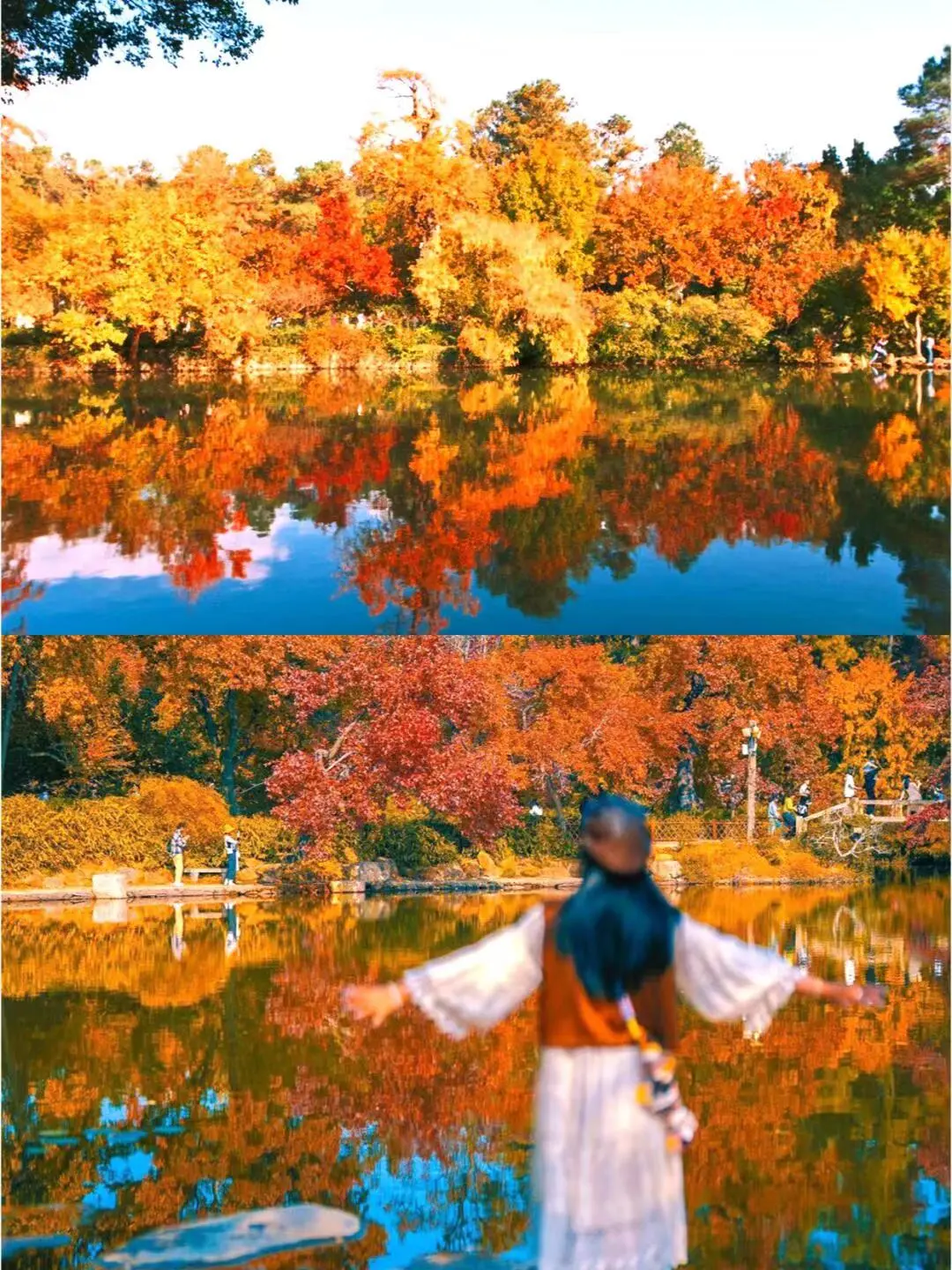 f98bd40648dafeba4f02c54e700fbf12-sz_308693