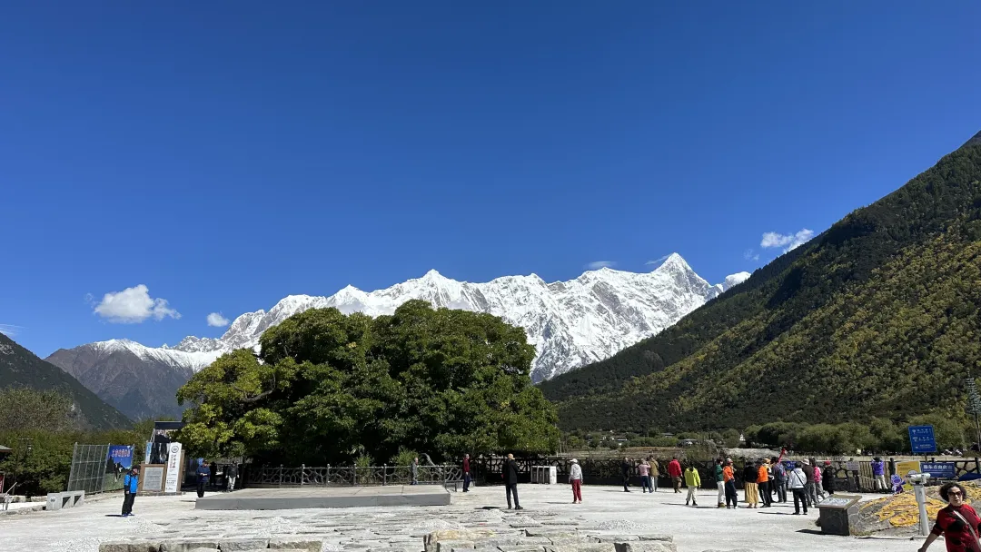 f99e522d6615af5dc0c4dc695a8fc350-sz_3601239-1 f99e522d6615af5dc0c4dc695a8fc350-sz_3601239-1