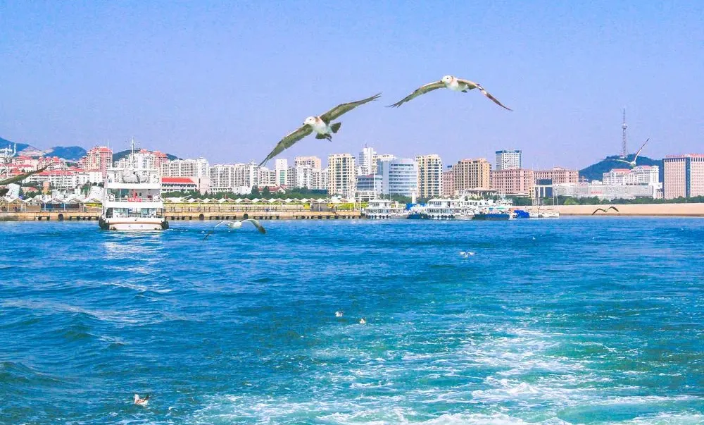 f9a506ad9392498606a80c3375a23b71-sz_148767