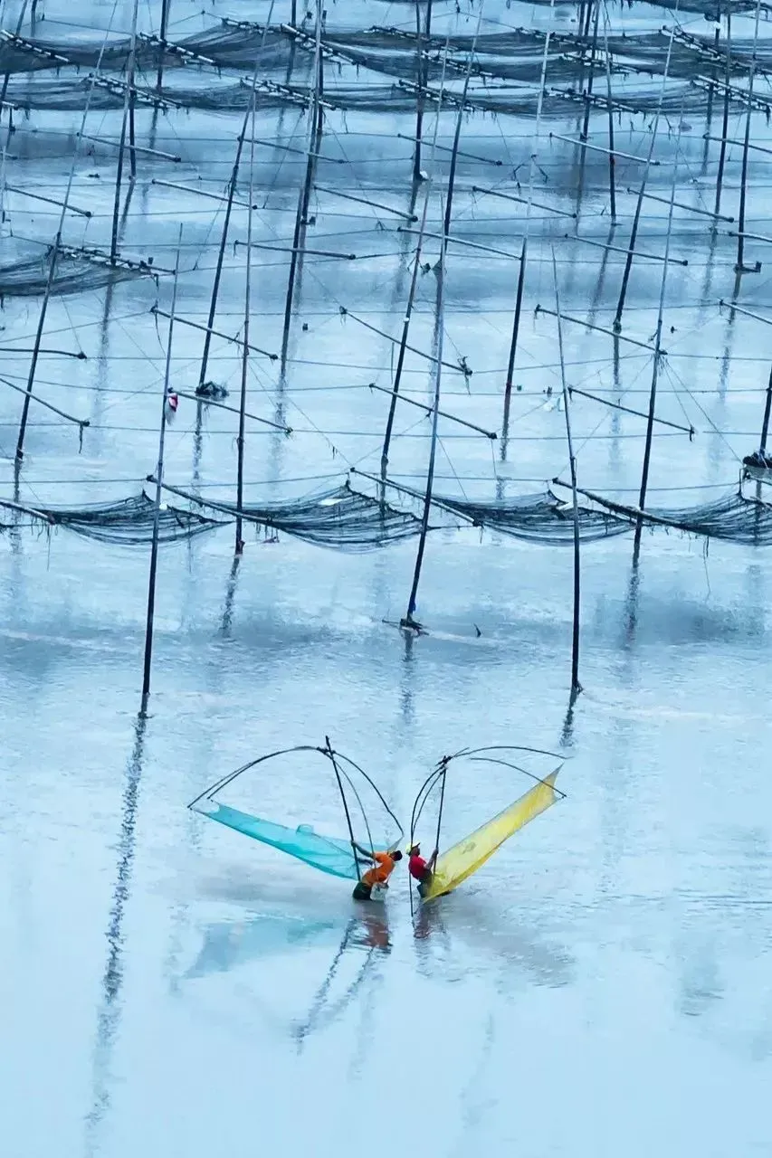 f9b87c9860a50edca83e8deac5821b65-sz_175306