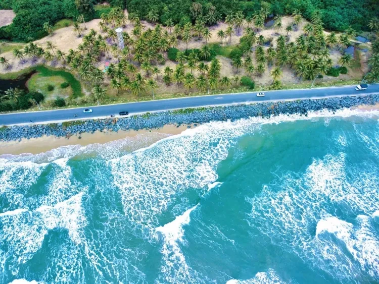 f9c8d6a74ddee46de572caddee792bce-sz_3555411