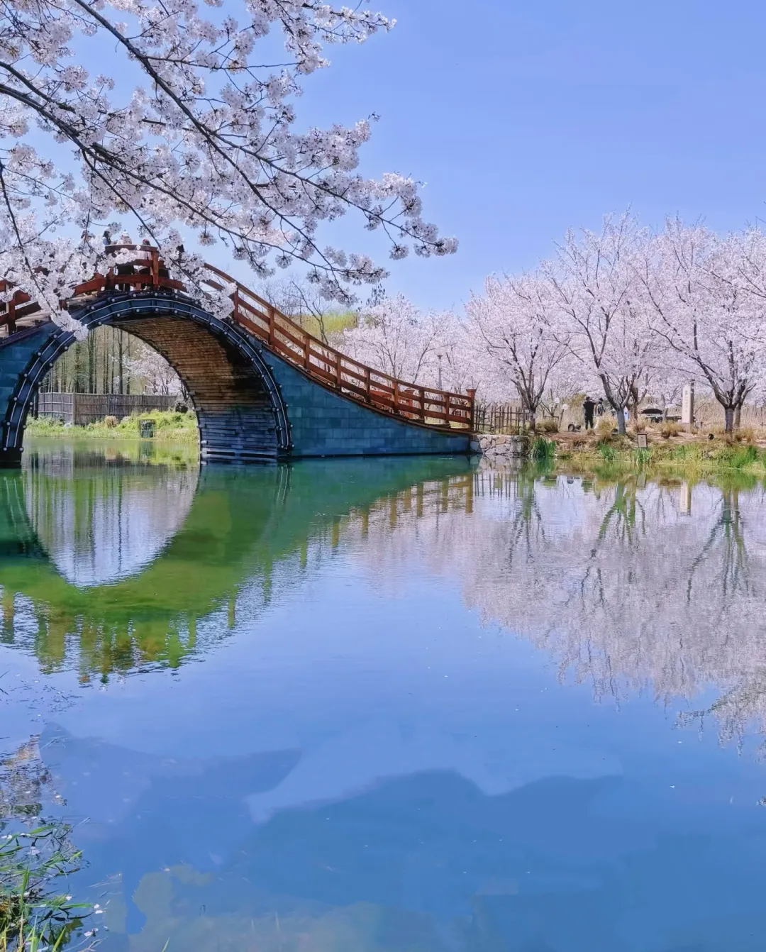 f9dc111c39c254b6a6614d12aaee8485-sz_1547388