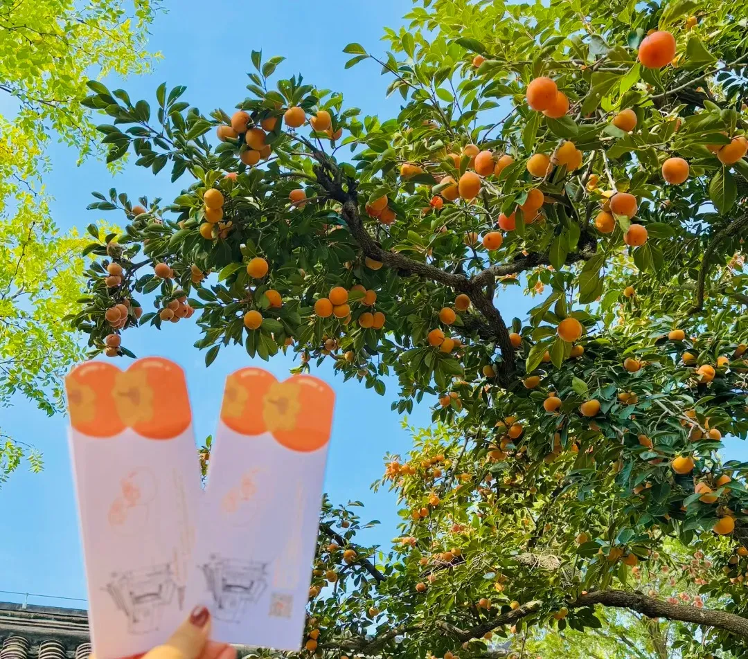 f9e0f586a50118da5bc7d0b1df00772d-sz_655519