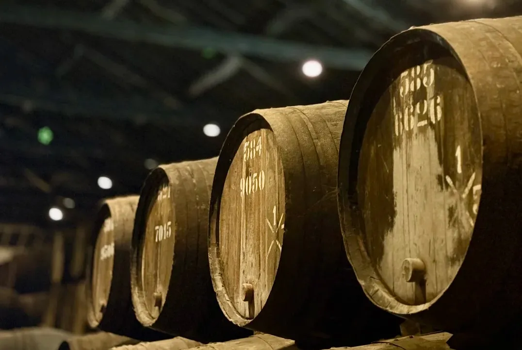 f9f22e140ea2aa5f57f9bed5bfe55f06-sz_252492-1