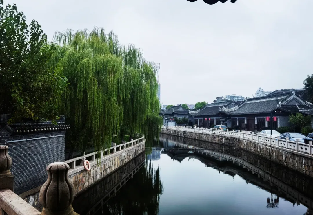 fa231239c938ea064ee75003634bca1a-sz_2002875