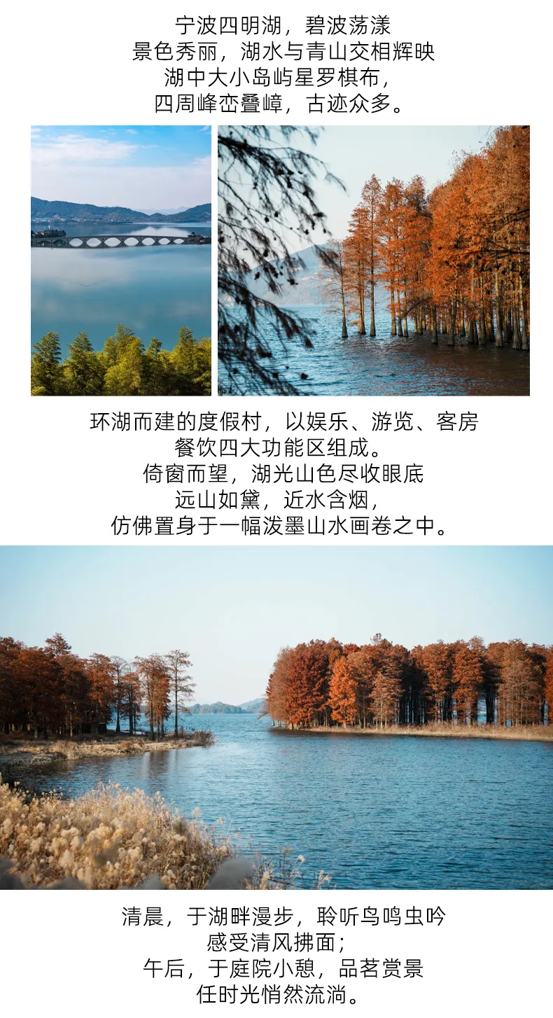 fa23ca17ba951960b7237fd518e64162-sz_456641