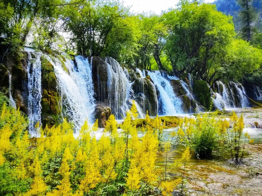 fa2766f67b4637355661f01f8bc5347a-sz_2733870