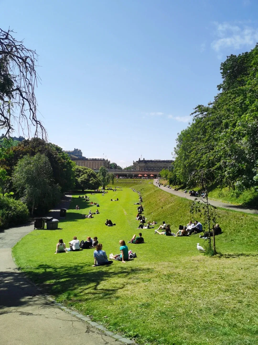 fa4d3346923f9e2482af5c6555f63410-sz_543376