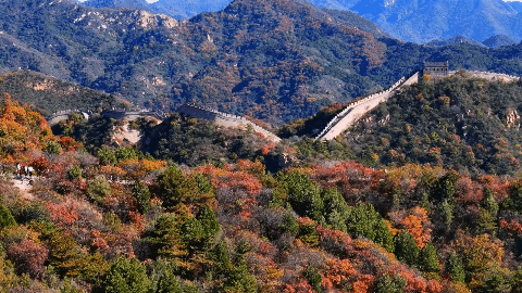 fa709d328029a3309001fcfbe9b55211-sz_6575884-2