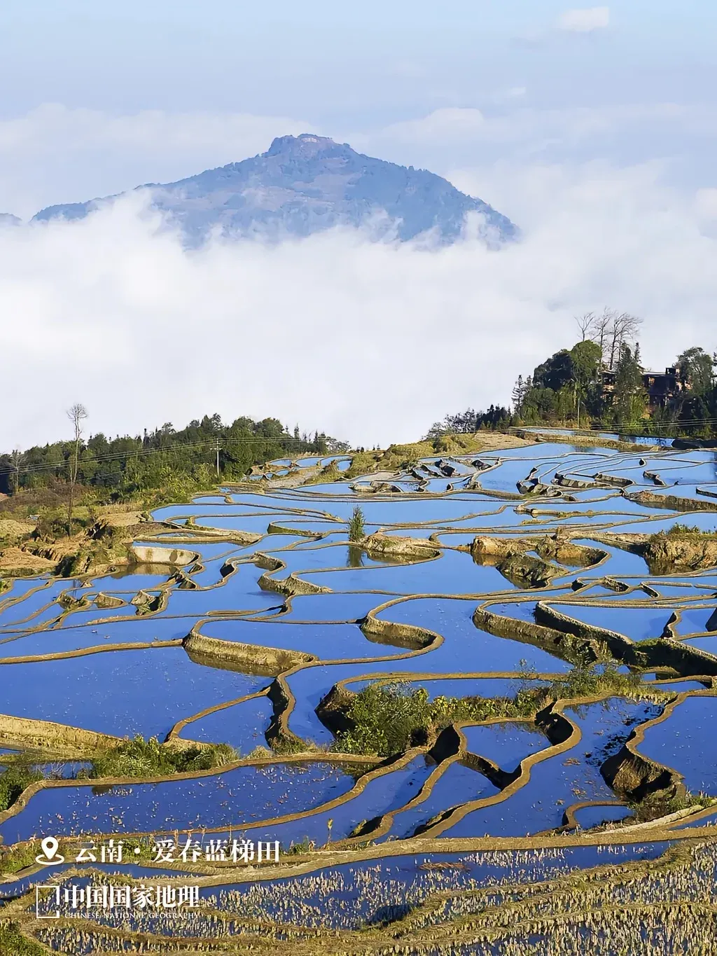 faa4aa74bce4804edfef857d68e4e6ac-sz_2259939 faa4aa74bce4804edfef857d68e4e6ac-sz_2259939