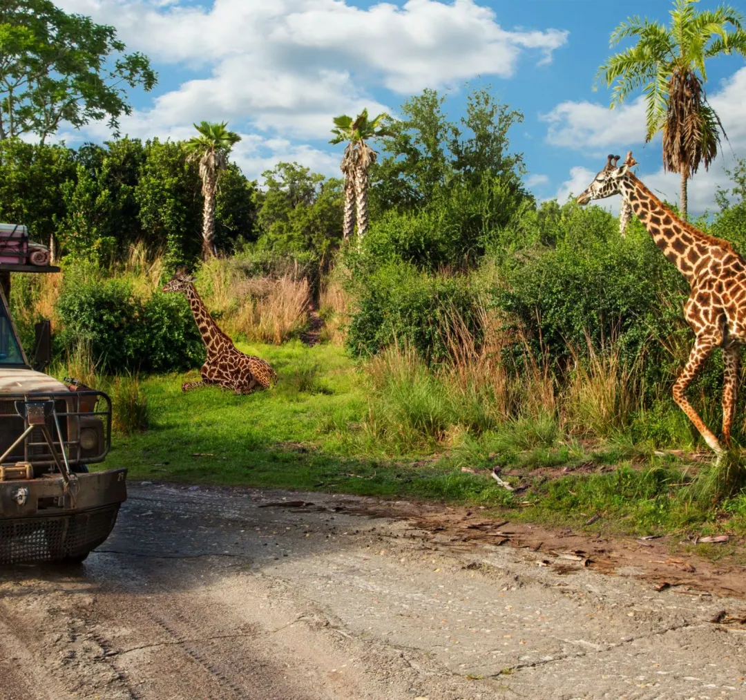 faa5d37395963967264b534ad964b1b9-sz_612535