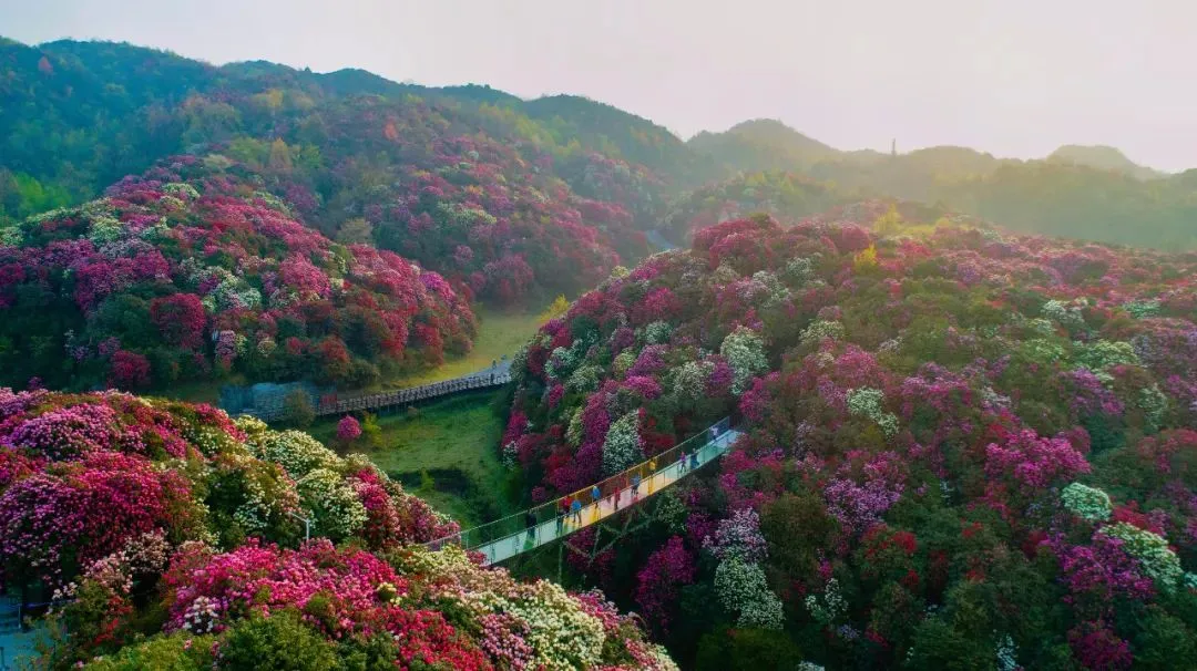 fac3307c93cfcb71b61d503b8543245a-sz_140334