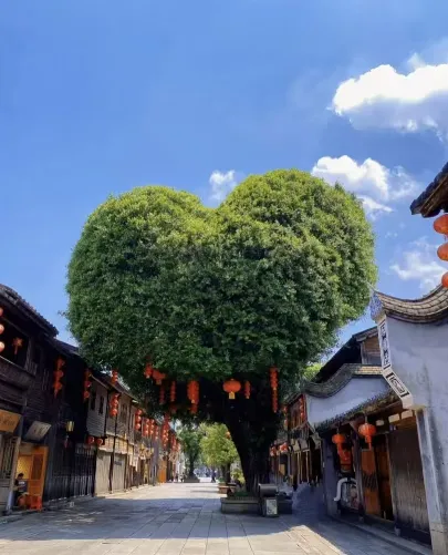 facdaa3af082b676b7c27ea3637e2cda-sz_275781