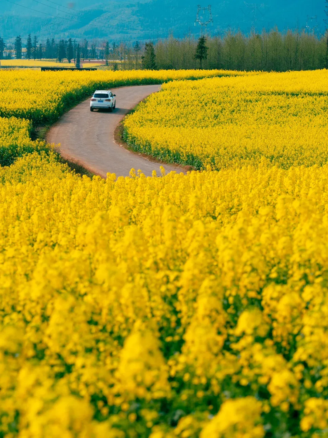 fb04429adc8df6abd65219c4fd7206d0-sz_3407367-1