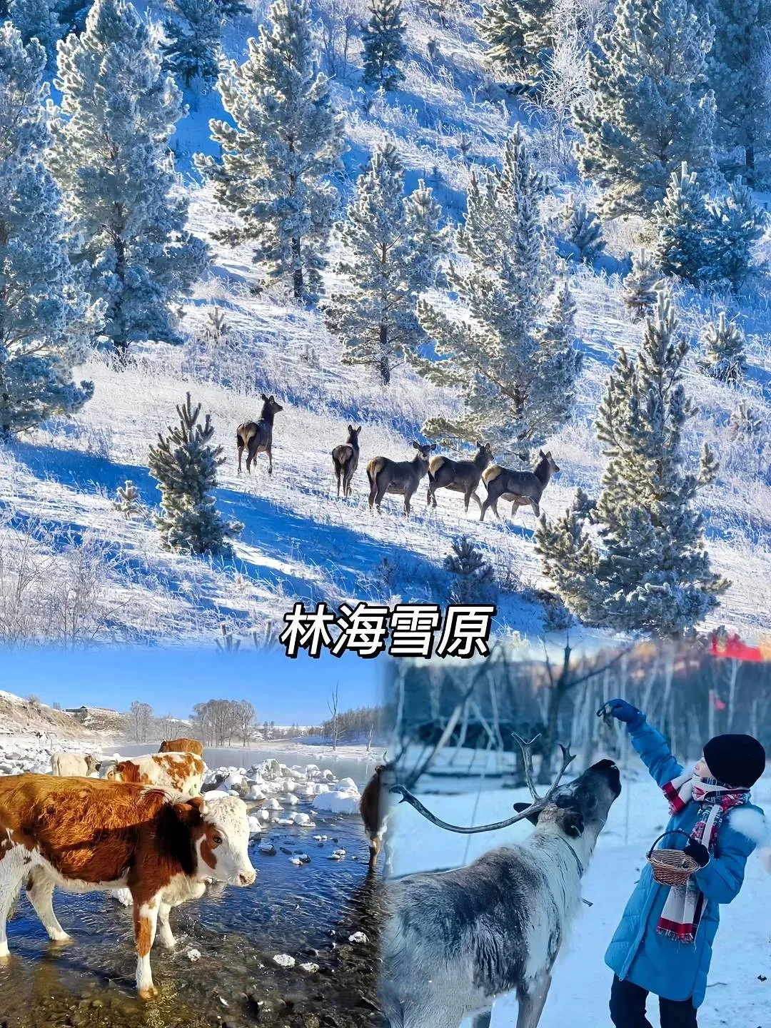 fb154f178928df69aa6864d126437378-sz_3418847 fb154f178928df69aa6864d126437378-sz_3418847