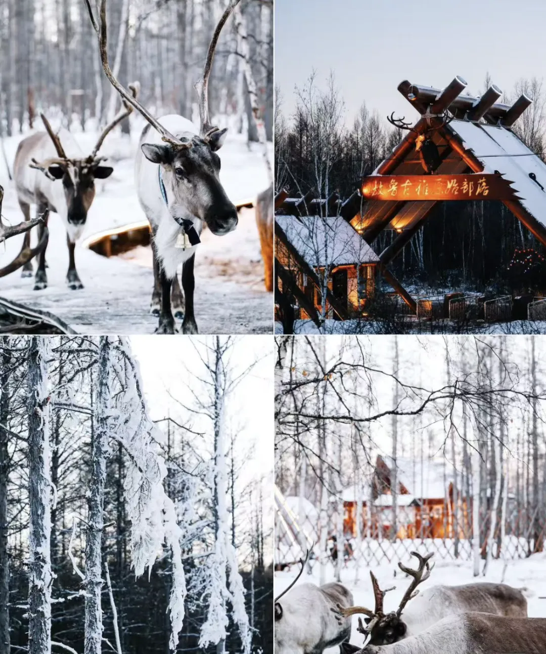 fb663870603eda9948239000f004608f-sz_2893488 fb663870603eda9948239000f004608f-sz_2893488