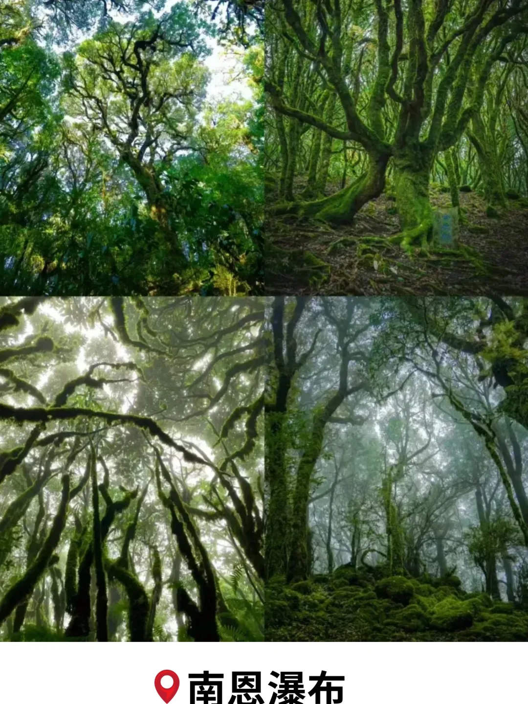 fb93e4f95149effd0478282b1673c11e-sz_732120 fb93e4f95149effd0478282b1673c11e-sz_732120