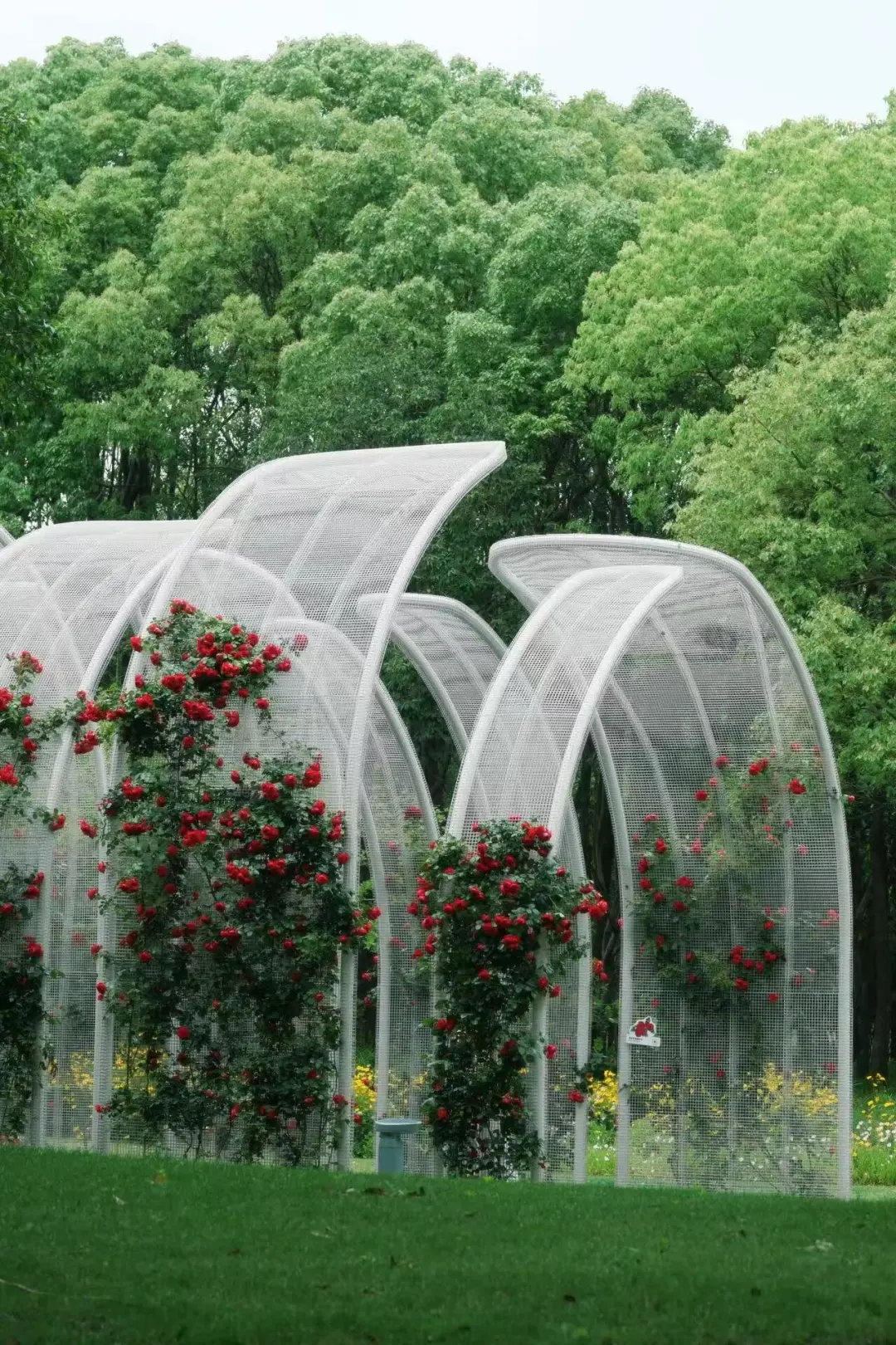 fbdefc1de8a6b178e00647566bb1ab92-sz_555051