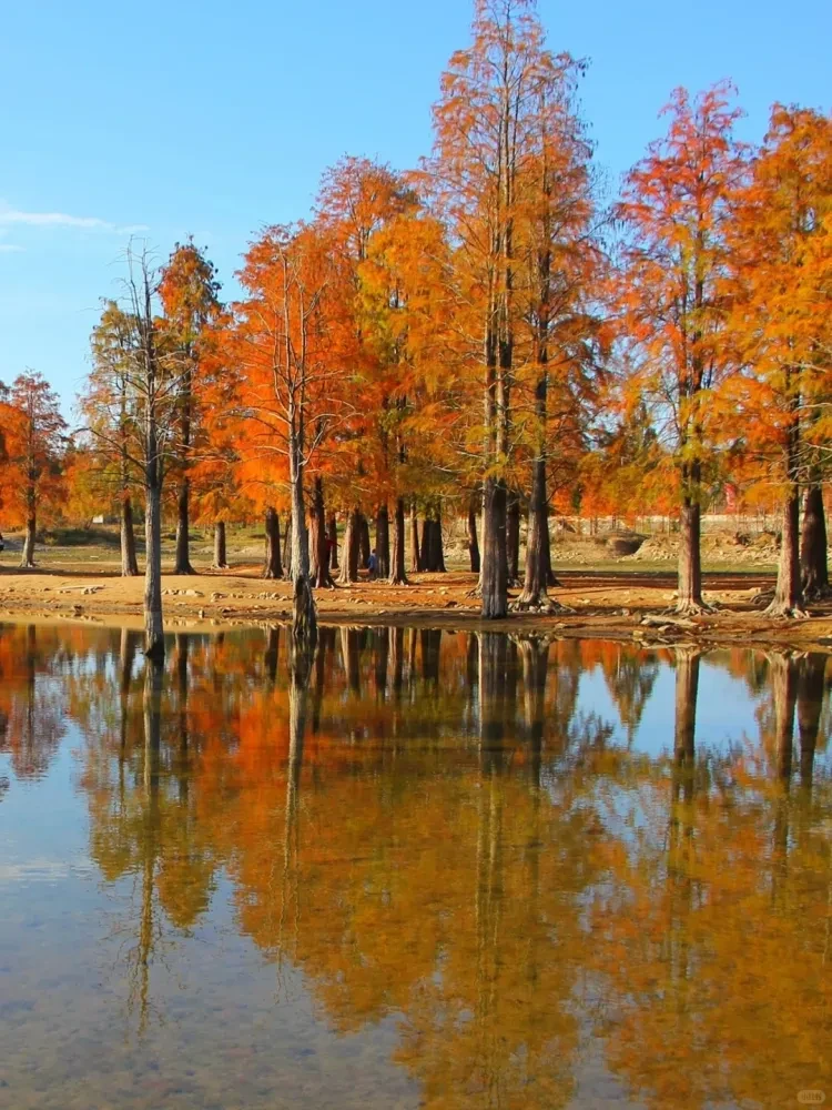 fbf3c25de2a55fe33aa9521fb1d843bf-sz_3538422 fbf3c25de2a55fe33aa9521fb1d843bf-sz_3538422