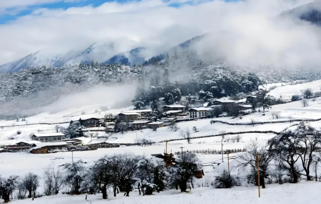 fc1b6048a25f348686b28bd40c13d3f5-sz_1588015