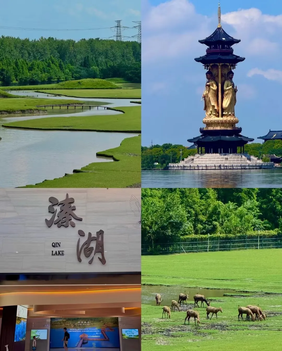 fc2d90da7af3f678013ec17069c83011-sz_794055-1