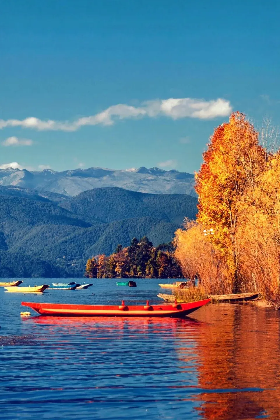 fc3c8c29b13028d2d9bdeec44d6041b3-sz_2914027 fc3c8c29b13028d2d9bdeec44d6041b3-sz_2914027