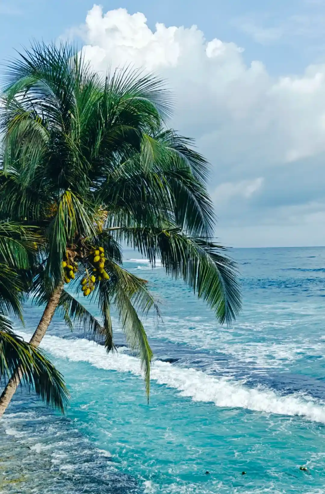 fc8aa9a64c9799e6d12d8e8a364e386e