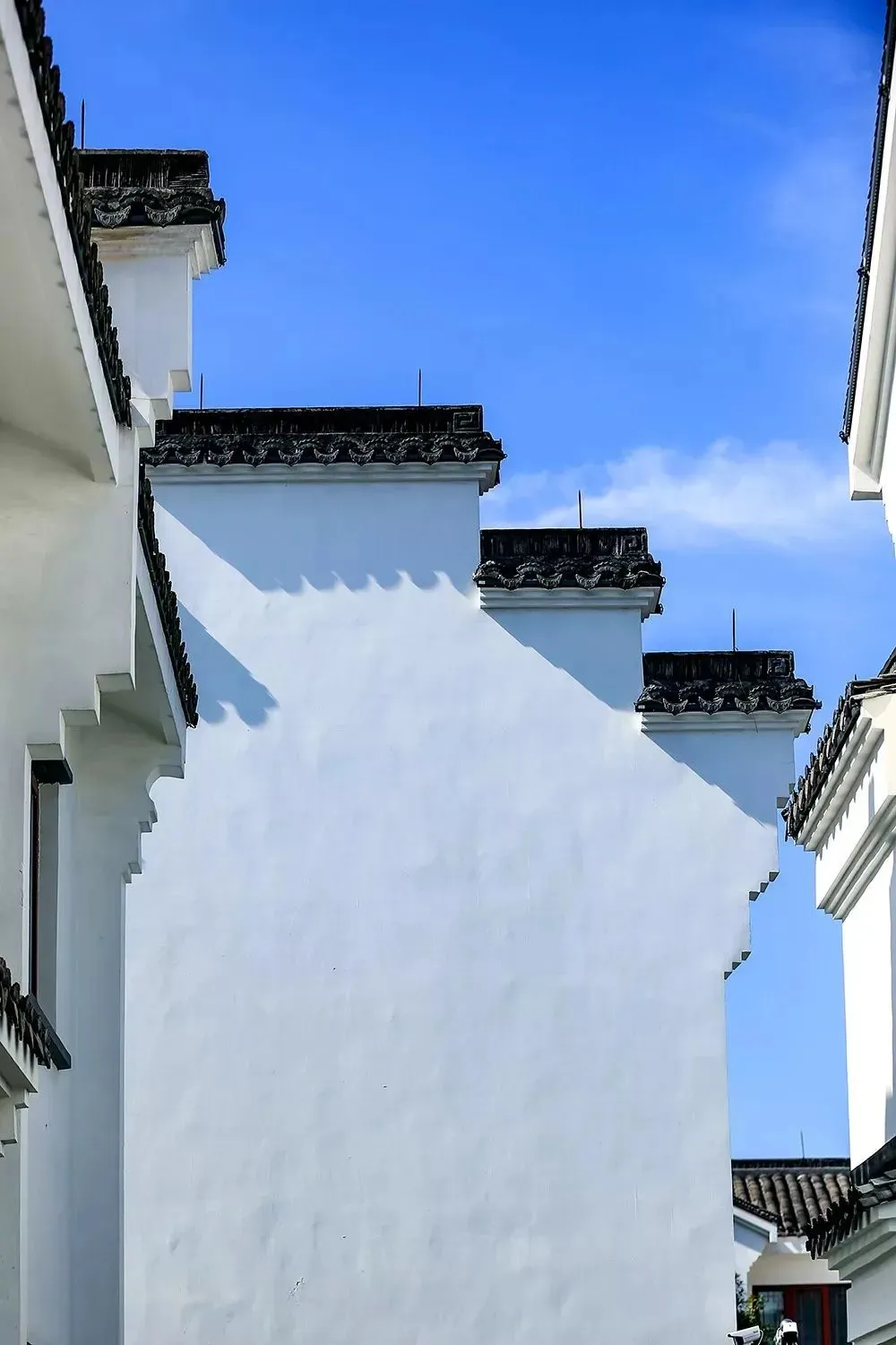 fc9c5798c2829853bfa5ee184530a643-sz_121954